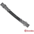 Brembo | Bremsschlauch | T 06 034