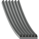 FEBI BILSTEIN 28894 Keilrippenriemen FEBI BILSTEIN 28894 Keilrippenriemen