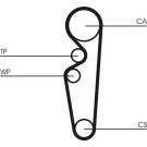 ContiTech | Zahnriemen | CT729