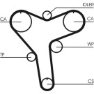 ContiTech | Zahnriemen | CT1029
