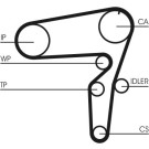 ContiTech | Zahnriemen | CT1076