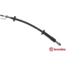 Brembo | Bremsschlauch | T 24 134