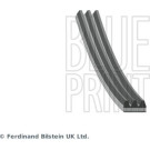 Blue Print | Keilrippenriemen | AD03R872 Blue Print | Keilrippenriemen | AD03R872