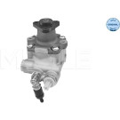 Meyle | Hydraulikpumpe, Lenkung | 314 631 0045