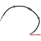 Brembo | Bremsschlauch | T 85 153