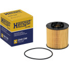 Hengst Filter | Ölfilter | E64H D96 Hengst Filter | Ölfilter | E64H D96