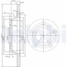 Delphi | Bremsscheibe | BG2987