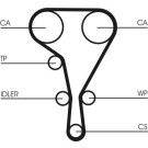 ContiTech | Zahnriemen | CT1127