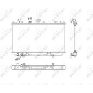 NRF | Kühler, Motorkühlung | 53760