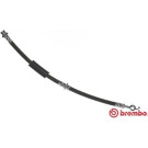 Brembo | Bremsschlauch | T 49 050