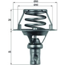 Mahle | Thermostat, Kühlmittel | TX 66 91D