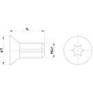 Textar | Schraube, Bremsscheibe | TPM0012