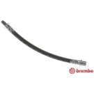 Brembo | Bremsschlauch | T 85 065