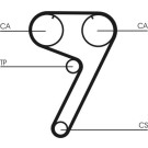 ContiTech | Zahnriemen | CT670