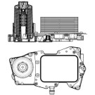NRF | Ölkühler, Motoröl | 31827
