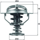 Mahle | Thermostat, Kühlmittel | TX 114 82D