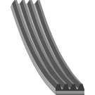 FEBI BILSTEIN 28798 Keilrippenriemen FEBI BILSTEIN 28798 Keilrippenriemen