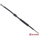 Brembo | Bremsschlauch | T 85 154