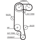 Gates | Zahnriemen | 5565XS