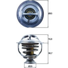 Mahle | Thermostat, Kühlmittel | TX 123 95D