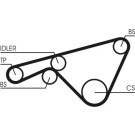 ContiTech | Zahnriemen | CT925