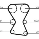 ContiTech | Zahnriemen | CT1000
