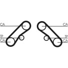 ContiTech | Zahnriemen | CT1074