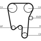 ContiTech | Zahnriemen | CT902