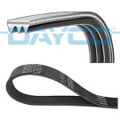 Dayco | Keilrippenriemen | 3PK736 Dayco | Keilrippenriemen | 3PK736