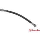 Brembo | Bremsschlauch | T 11 017