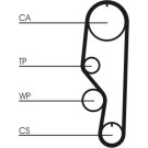 ContiTech | Zahnriemen | CT557