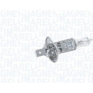 Magneti Marelli | Glühlampe | 002552100000