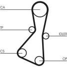 ContiTech | Zahnriemen | CT614