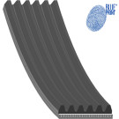 Blue Print | Keilrippenriemen | AD06R805 Blue Print | Keilrippenriemen | AD06R805