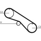 ContiTech | Zahnriemen | CT1082