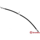 Brembo | Bremsschlauch | T 11 013