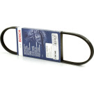 BOSCH | Keilrippenriemen | 1 987 947 882 BOSCH | Keilrippenriemen | 1 987 947 882