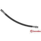 Brembo | Bremsschlauch | T 11 012