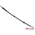 Brembo | Bremsschlauch | T 06 053