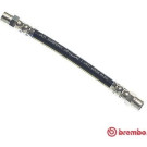 Brembo | Bremsschlauch | T 85 016