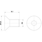 Textar | Schraube, Bremsscheibe | TPM0006