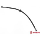 Brembo | Bremsschlauch | T 06 028