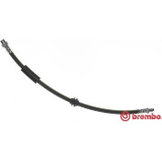 Brembo | Bremsschlauch | T 06 038