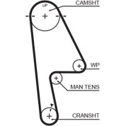 Gates | Zahnriemen | 5529XS