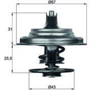 Mahle | Thermostat, Kühlmittel | TX 23 83D