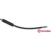 Brembo | Bremsschlauch | T 06 018