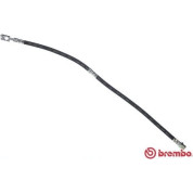 Brembo | Bremsschlauch | T 85 149