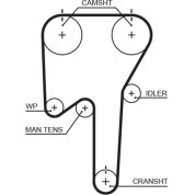 Gates | Zahnriemen | 5553XS