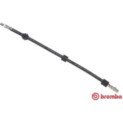 Brembo | Bremsschlauch | T 06 006