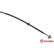 Brembo | Bremsschlauch | T 85 026